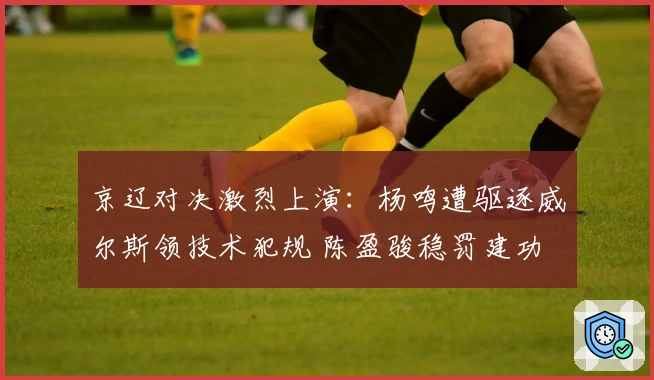 京辽对决激烈上演：杨鸣遭驱逐威尔斯领技术犯规 陈盈骏稳罚建功