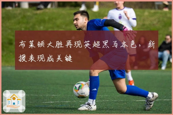 布莱顿大胜再现英超黑马本色，新援表现成关键