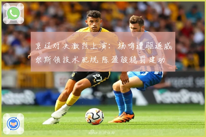 京辽对决激烈上演：杨鸣遭驱逐威尔斯领技术犯规 陈盈骏稳罚建功